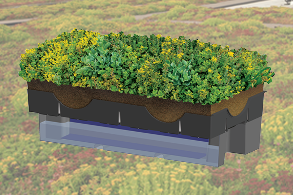 Vegetated green roof module atop Roofblue Retain, the ultimate stormwater management tool