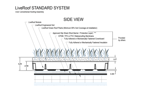 (4.25 inch soil depth)