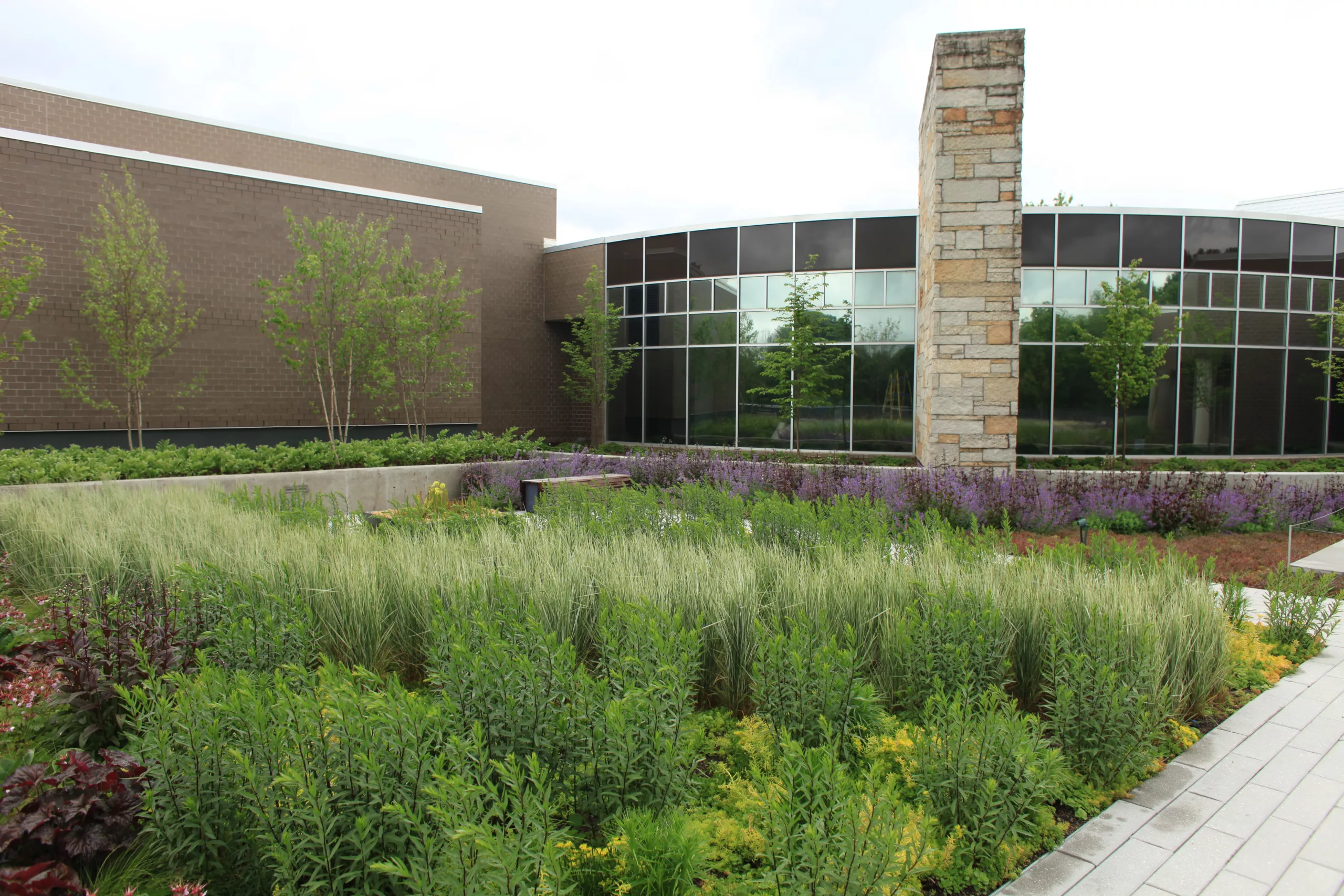 Irrigation Leader Magazine Feature: Green Roofs for Water Retention and Horticulture