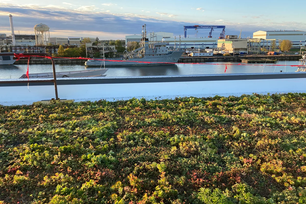 LiveRoof green roof in foreground, with ships and dock in the background at Philadelphia Navy Yard
