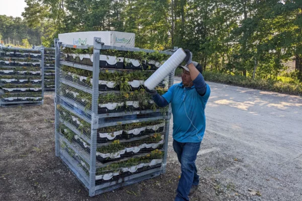 LiveRoof Truck and team member preparing product for shipping