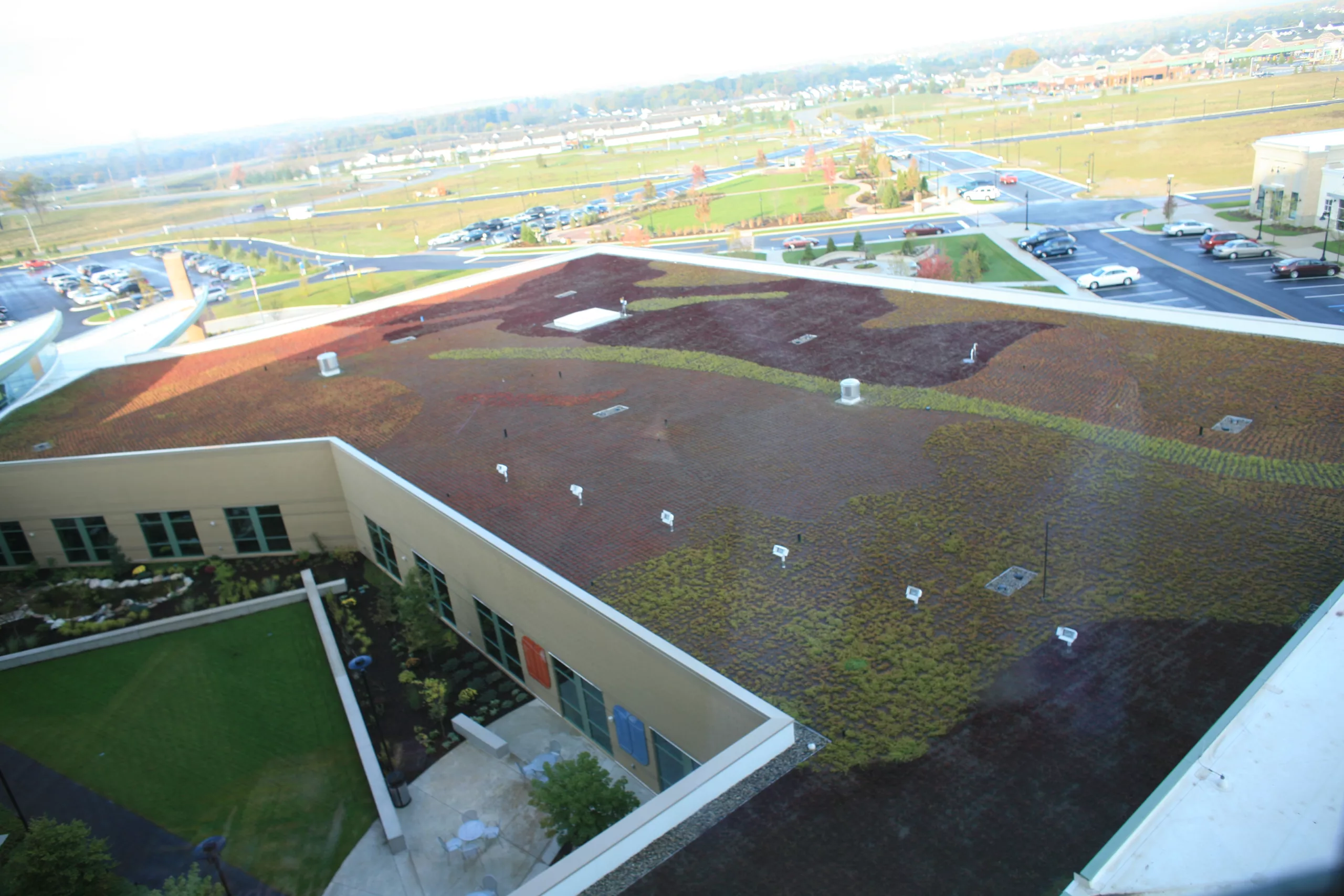 Why do a Green Roof? The Surprising Benefits of Green Roofs