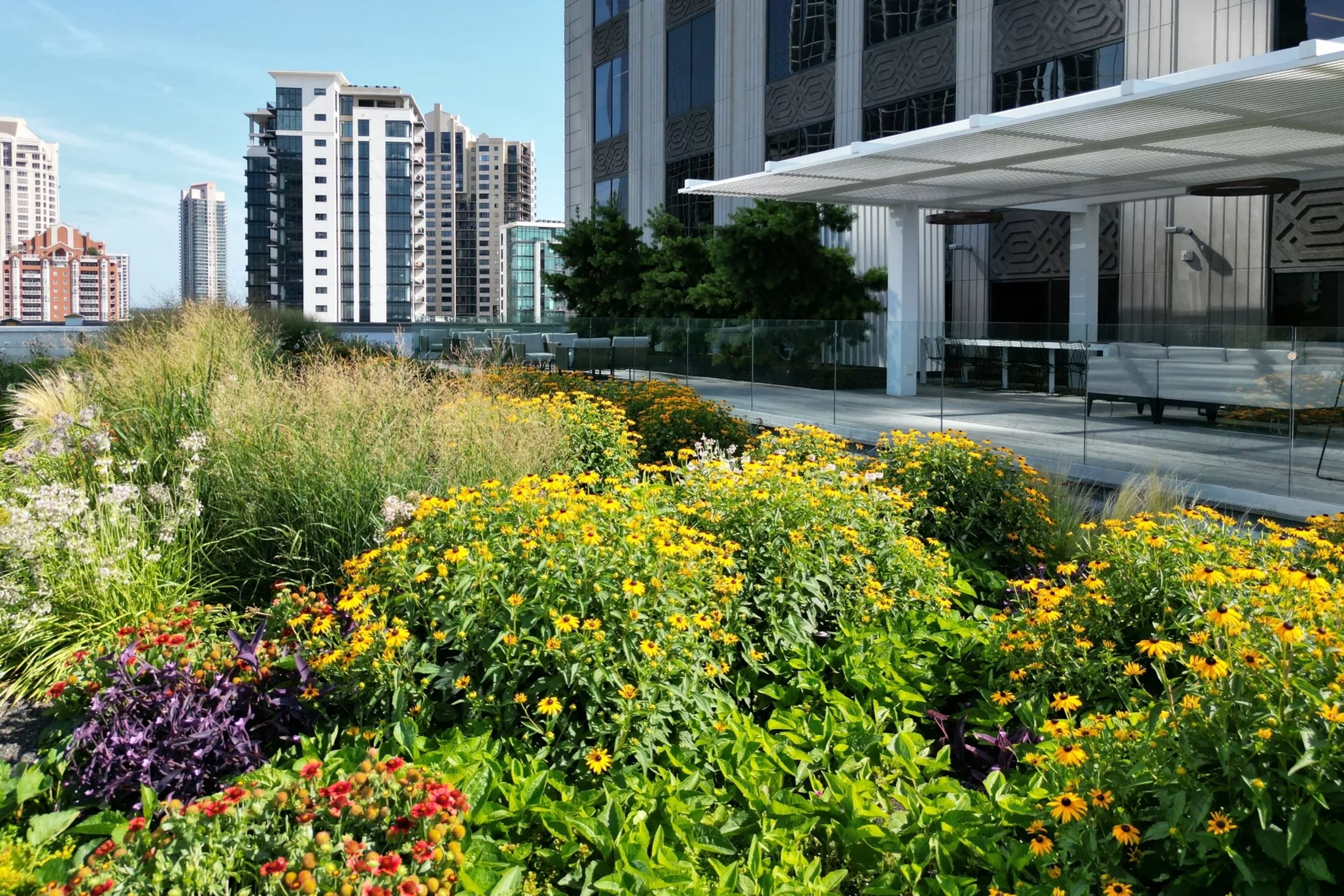 Are Green Roofs a Benefit for Stormwater Management?