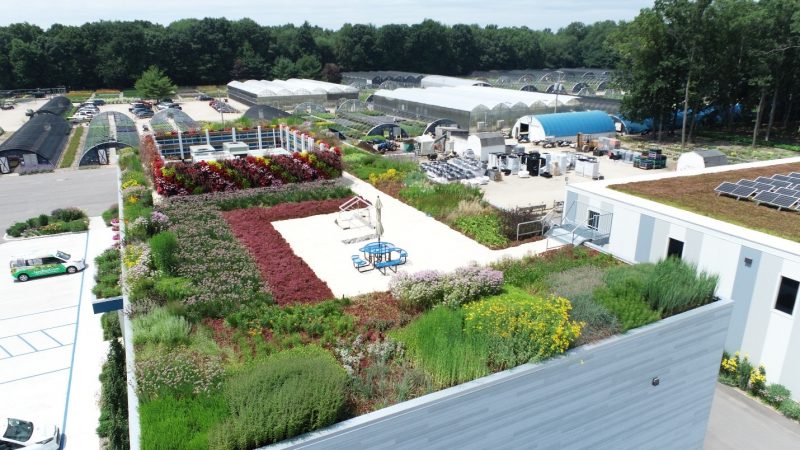 The Proven Advantages You Should Expect from a Green Roof System - LiveRoof