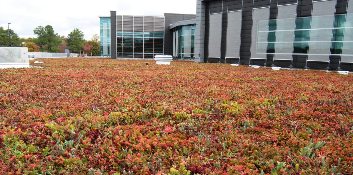 News - LiveRoof Green Roof Systems